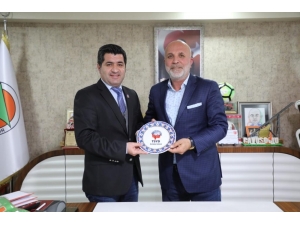 Tsyd’den Alanya Çıkarması