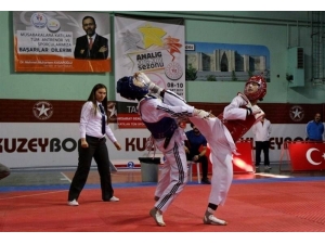 Taekwondo’da 14 Madalya
