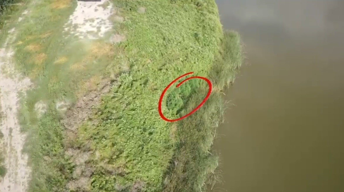 sakarya-da-uyusturucu-operasyonunda-50-kok-hint-keneviri-ele-gecirildi