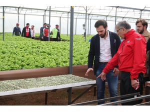 Murat Aydın’dan Mahmuşevketpaşa Köyüne Hayvan Barınağı Müjdesi