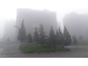 Kilis’te Yoğun Sis Etkili Oldu
