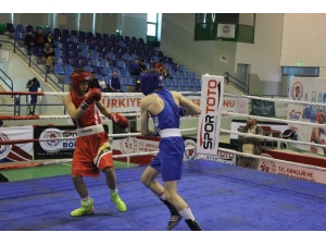 Türkiye Boks Şampiyonası Final Maçlarıyla Sona Erdi