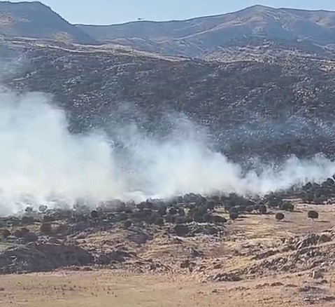 adiyaman-da-ormanlik-alanda-yangin