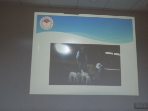 Bu Kursta ’Diplomalı’ Çobanlar Yetişiyor