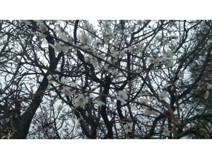 Kozluklular İki Mevsimi Bir Arada Yaşıyor