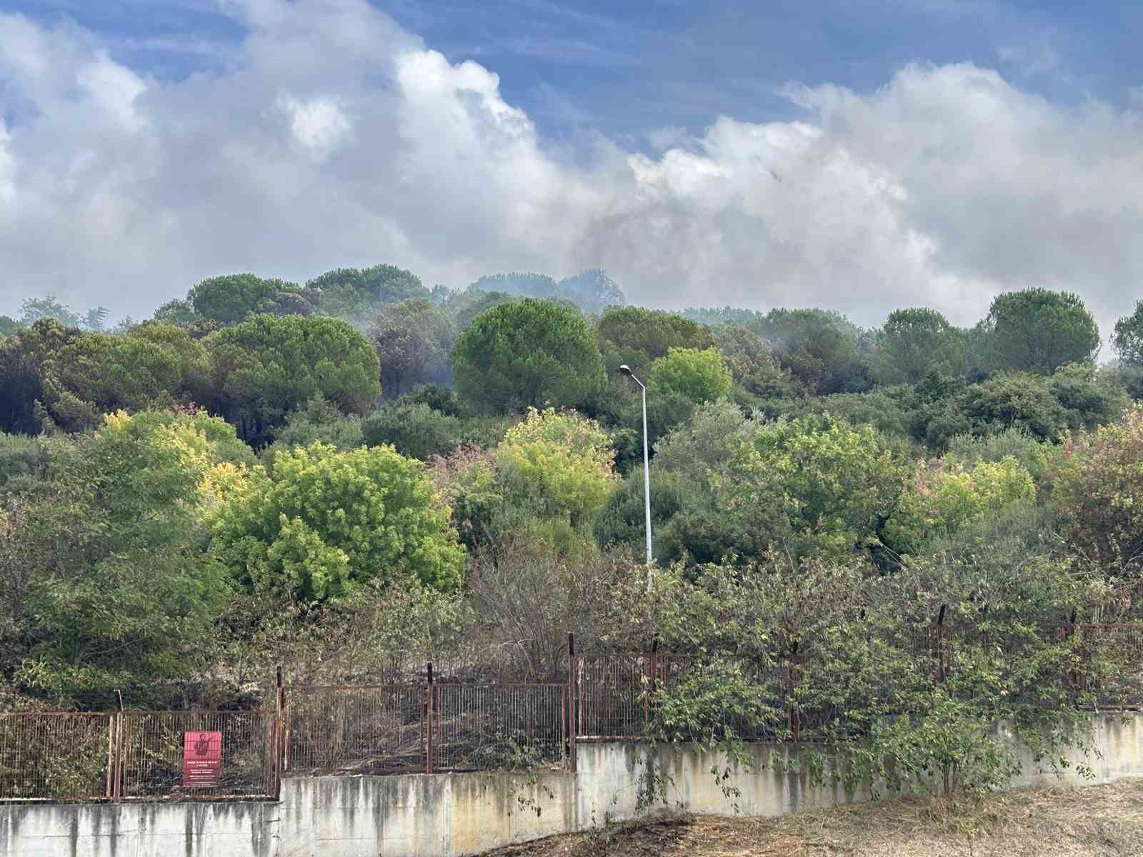 maltepe-de-ormanlik-alanda-korkutan-yangin-alevler-kenan-evren-kislasi-na-sicradi