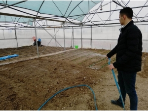 Okulda Sebze Yetiştiriyorlar