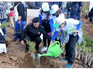 180’inci Yıla 180 Bin Fidan
