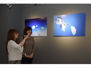 Akaum Ve Efsad’tan “Sade” Fotoğraf Sergisi