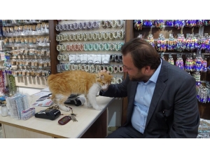 Cumhur İttifakı Adayı Yazıcı: “Birlikte Çalışarak Marmaris’in Vitesini Büyüteceğiz”