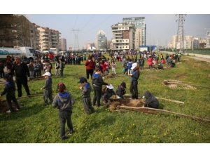 Yeşil Bursa İçin Fidanlar Toprakla Buluştu
