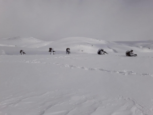 Türkiye Ve İran’dan Pkk’ya Ortak Operasyon