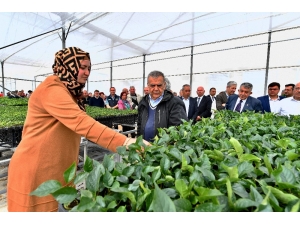 Kocaoğlu’ndan Zeybekci’ye Yanıt