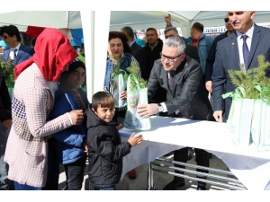 Niğde’de Vatandaşlara Ücretsiz Fidan Dağıtıldı