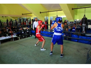 Okullararası Genç Erkekler Boks Müsabakaları