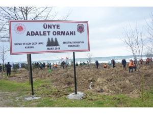 Adalet Çalışanlarından "Adalet Ormanı"