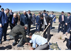 Mahkumlar ‘Adalet Ormanı’ İçin Fidan Dikti