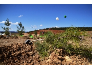 180 Fidan 180 Öğrencinin Eliyle Toprağa Dikildi