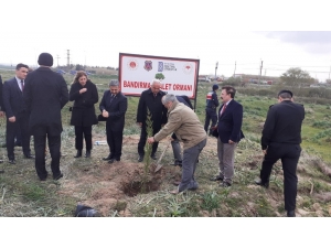 Bandırma’ya Adalet Ormanı