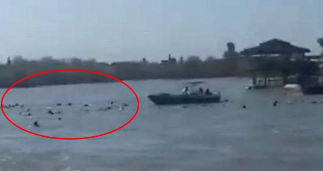 Dicle Nehri'nde Feribot Kazasında Ölü Sayısı Artıyor