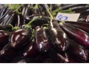 Patlıcan 9 Liradan Alıcısını Bekliyor