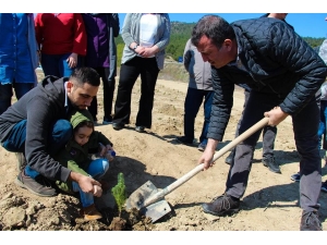 Öğrenciler 300 Fidanı Toprakla Buluşturdu