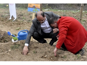 ’48 Muğla 48’ Proje’sinin İlk Tohumları Toprakla Buluştu