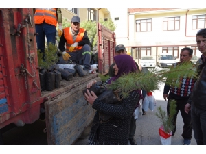 Ormancılık Günü’nde Halka 5 Bin Fidan Dağıtıldı
