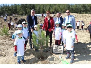 Kitap İçin Doğa Aşkına 5 Dakika Mola