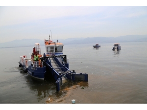 İzmit Körfezi’nden Bir Yılda 400 Ton Çöp Toplandı