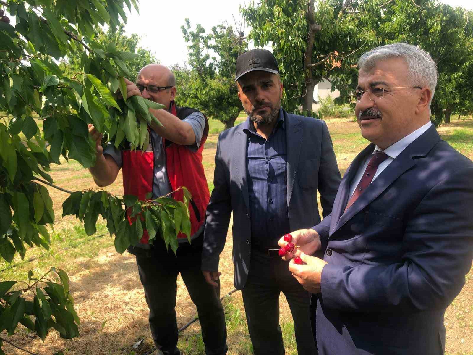 aksehir-kirazi-nin-gelecegi-sahada-degerlendirildi