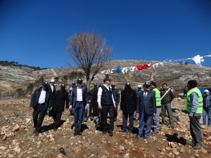 Yanan Alana Gelir Getirici Fidanlar Dikildi