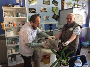 Rusya’dan Güneye Göç Ederken Yorgun Düştü