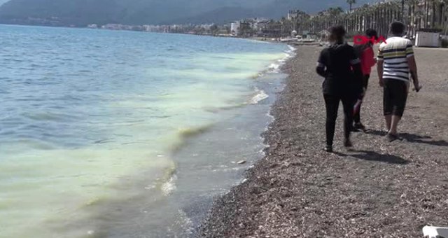 Marmaris'te Deniz Sarıya Boyandı, Gören Belediyeyi Aradı!