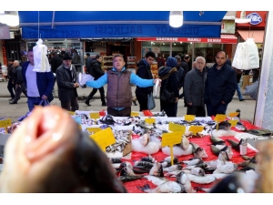 Sezonun Son Balıkları Yerini Kültür Balıklarına Bırakıyor