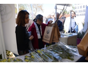 Dağıtılan 4 Bin Fidan Dakikalar İçinde Bitti