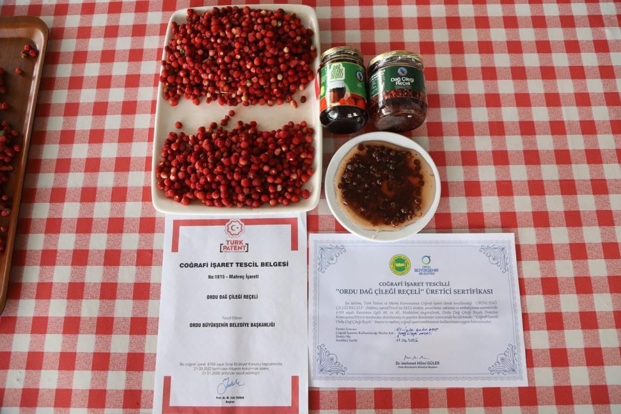 ordu-dag-cilegi-receli-cografi-isaret-aldi-tescilli-urun-sayisi-24-oldu