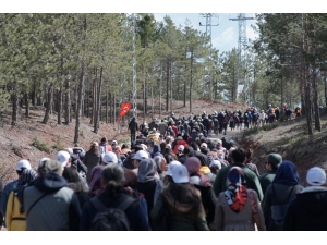 Yüzlerce Kişi Ormanlar İçin Toplandı