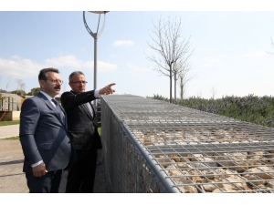 Vali Aksoy Eskihisar Millet Bahçesini İnceledi
