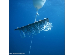 Çeşme’de Kalamarlara Yapay Yuva