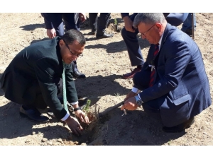 Alaşehir’de Orman Haftası Kutlandı