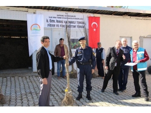 Şaphane’de 8 Üreticiye Bin 250 Adet Muşmula Fidanı Dağıtıldı