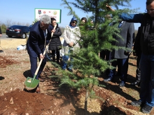Bilecik’te “Adalet Ormanı” Oluşturuldu