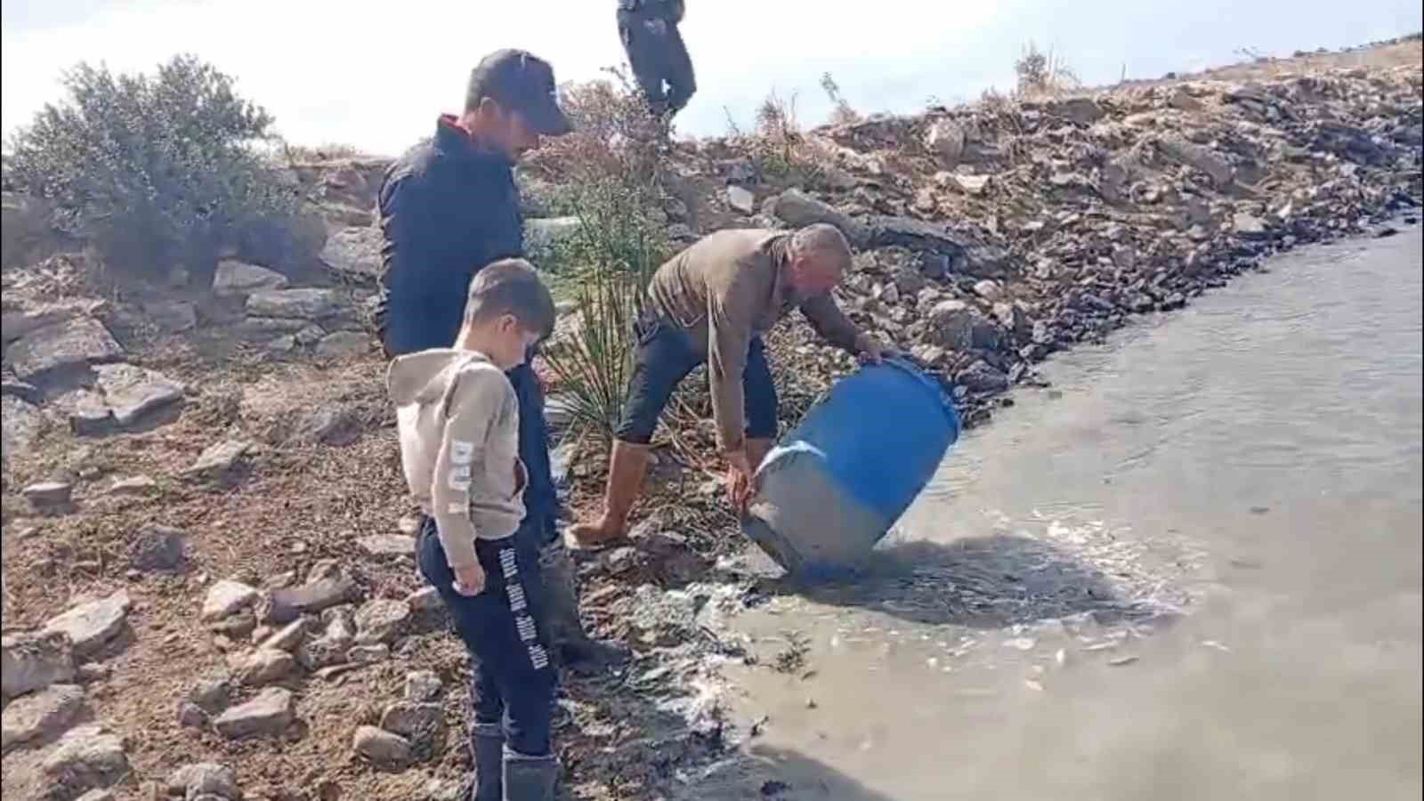 sulama-kanallarinda-mahsur-kalan-baliklar-kurtarildi