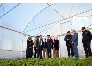 Vali Şentürk, Girişimci Kadınlarla Bir Araya Geldi