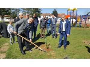 Başkan Yalçın, Orman Haftası Programına Katıldı