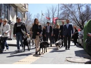 Çankaya Adayı Türkmen Seçim Çalışmalarını Sürdürüyor