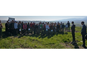 Yüzlerce Fidan Toprakla Buluştu