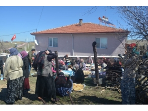 Fidan Dikip Gözleme Yaptılar