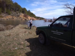 Emet’te 3 Gölete 25 Bin Sazan Balığı Yavrusu Bırakıldı